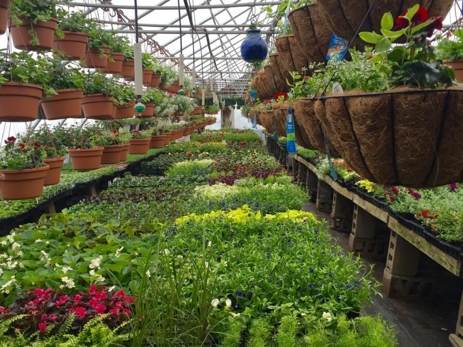 April Showers bring May Flowers