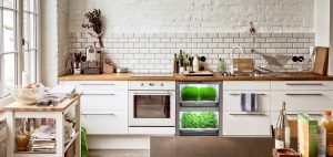 Urban Cultivator kitchen garden