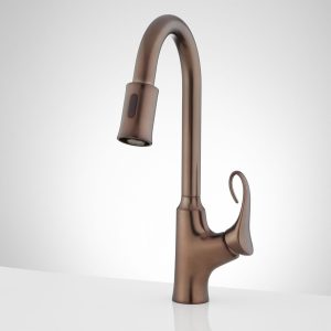 Waldron single hole touchless kitchen faucet in oil rubbed bronze